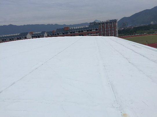 银娱优越会(中国游)股份有限公司