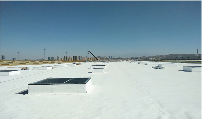 银娱优越会(中国游)股份有限公司